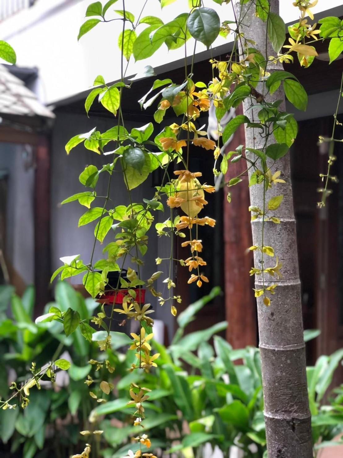Khammon Lanna Resort Chiang Mai Exterior photo