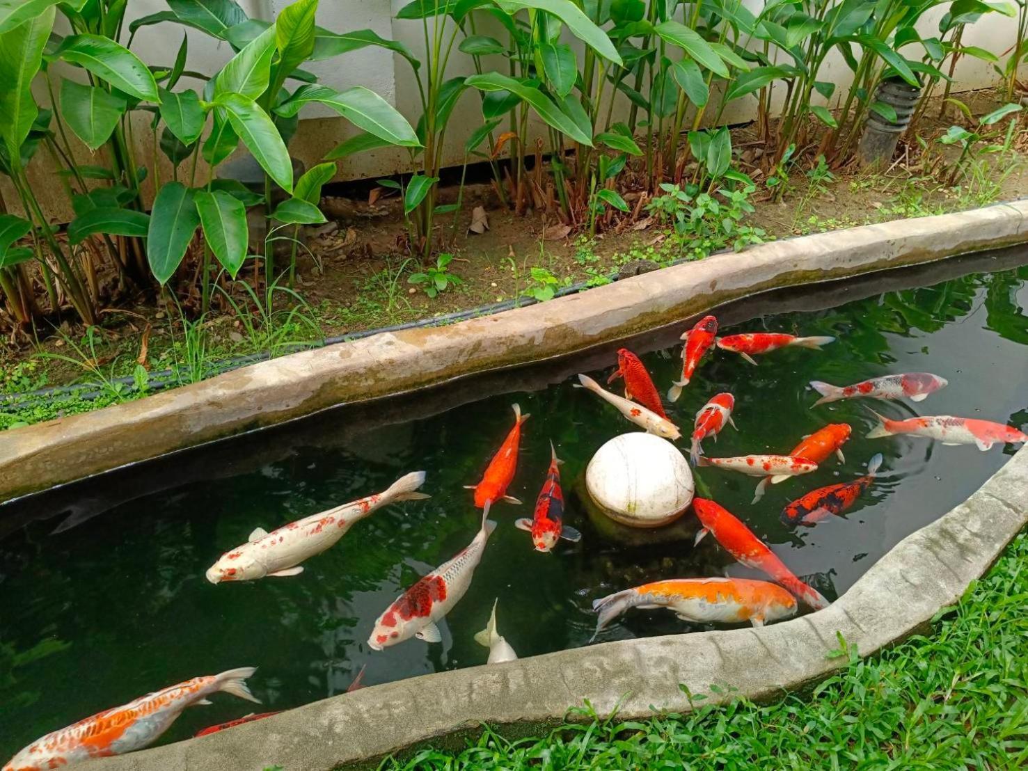 Khammon Lanna Resort Chiang Mai Exterior photo
